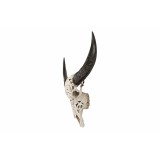 BUFFALO SKULL WITH CARVING UNIQUE PIECES - DECOR OBJECTS